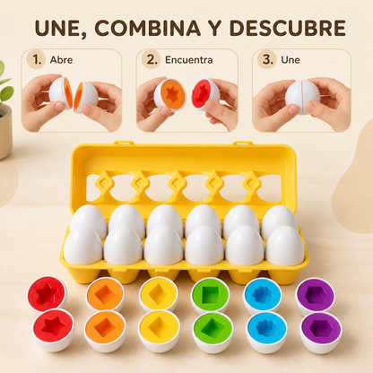 Nido — Huevos de formas y colores